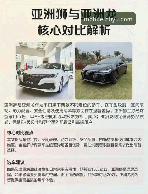 B体育平台特点对比全面解析：从用户真实体验看选择价值